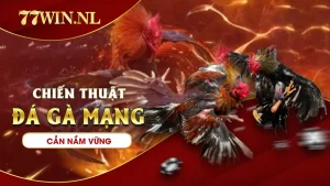 Chiến thuật đá gà mạng cần nắm vững