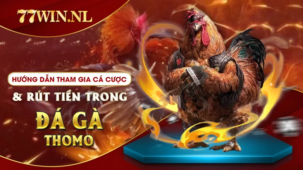 Hướng dẫn tham gia cá cược và rút tiền trong đá gà thomo