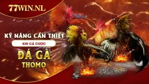 Kỹ năng cần thiết khi cá cược đá gà thomo